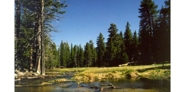 Palm Springs Aerial Tramway - Image 5