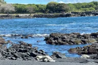 Hilo Volcanoes and Black Sand Beach Tour thumbnail 6