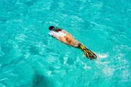Miami Key West Day Trip thumbnail 4