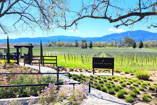 Sonoma and Napa Champagne Wine Tour Half Day - Image 1