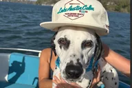 Austin Donut Boat Tour 1 hr thumbnail 6