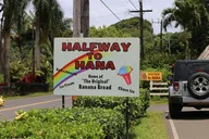 Maui Halfway to Hana Private Tour 4 hr thumbnail 2