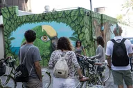 St. Petersburg Mural Biking Tour thumbnail 1