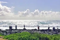 Oahu Island Sightseeing and Food Tour thumbnail 5