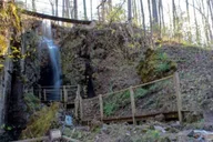 Sevierville Hiking & Swinging Bridge Adventure thumbnail 5