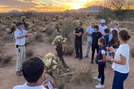 Scottsdale Hiking Tour in McDowell Sonoran Preserve thumbnail 1