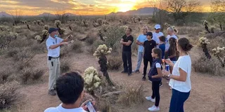 Scottsdale Hiking Tour in McDowell Sonoran Preserve