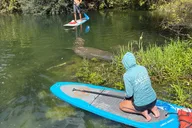 Crystal River Paddle Board Rental 4 Hr thumbnail 6