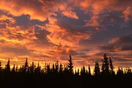 Healy ATV Adventure at Midnight Sun 2.5 hr thumbnail 3