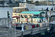 Pensacola Bay Cruise and Snorkeling thumbnail 2