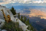 Palm Springs Aerial Tramway thumbnail 3