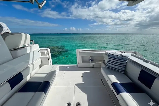 Key West Sandbar Excursion - Image 3