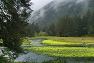 Sitka Bear and Silver Bay Homestead Tour thumbnail 2