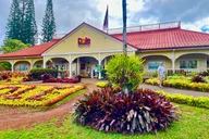 Oahu Circle Island Tour thumbnail 2