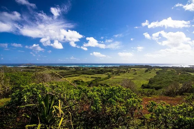 Oahu Advanced Trail Ride - Image 5