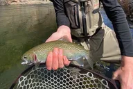 Tuolumne Fly Fishing Adventure 2 Days thumbnail 6