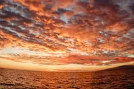 Maui Catamaran Sunset Sail thumbnail 4