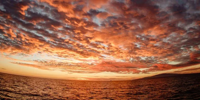 Maui Catamaran Sunset Sail - Image 4