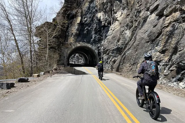 Whitefish E-Bike Rental in Flathead Valley - Image 3