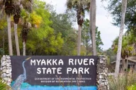 Sarasota Myakka State Park E-bike Safari thumbnail 3