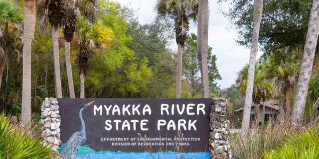 Sarasota Myakka State Park E-bike Safari - Image 3