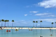 Oahu Island Private Tour with Chauffeur thumbnail 5