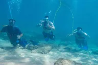 Kauai SNUBA Diving Experience thumbnail 6