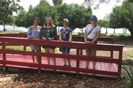 Orlando Scavenger Hunt Excursion thumbnail 4