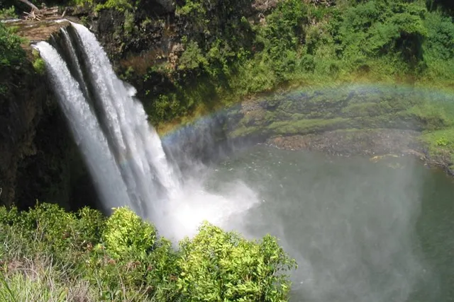 Kauai Private Tour of South & West Shores - Image 3