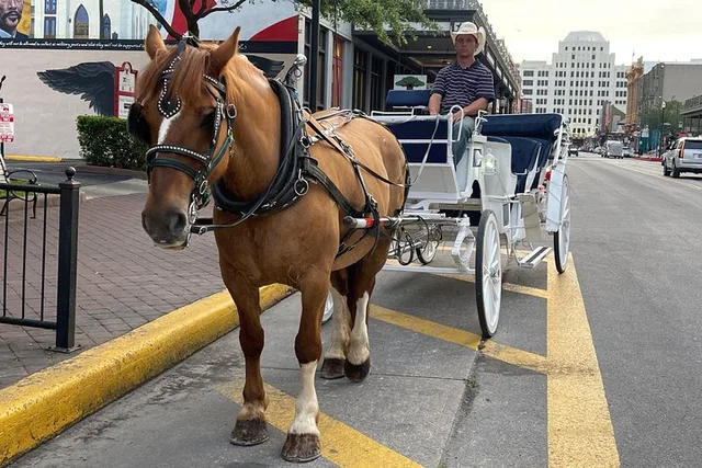 Galveston Carriage Tour - Image 2