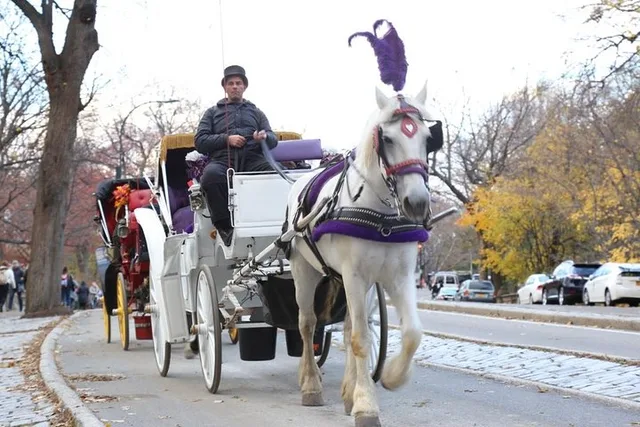 New York City Central Park Horse Carriage Tour - Image 1