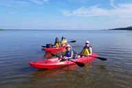 Indian River Kayak and Paddleboard Wildlife Tour thumbnail 4