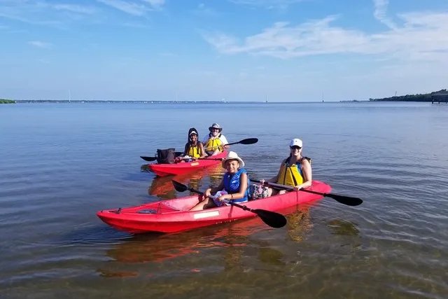 Indian River Kayak and Paddleboard Wildlife Tour - Image 4