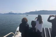 Icy Strait Point Whale Watching and Bear Search thumbnail 3