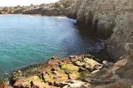 San Diego Snorkeling Tour with Marine Biologist thumbnail 6