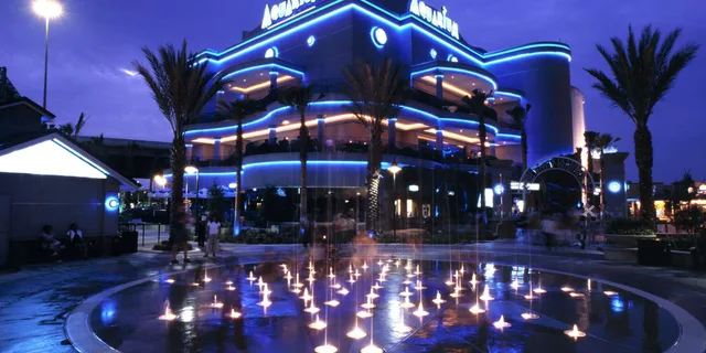 Houston Downtown Aquarium All Day Pass - Image 2