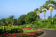 Kona Cloud Forest and Coffee Tour with Sea Turtles thumbnail 4