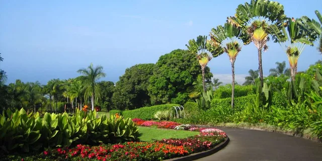 Kona Cloud Forest and Coffee Tour with Sea Turtles - Image 4
