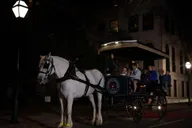 Charleston Haunted Horse-Drawn Carriage Tour thumbnail 5