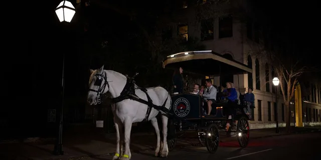 Charleston Haunted Horse-Drawn Carriage Tour - Image 5