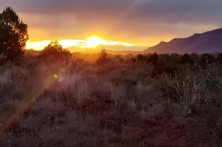 Sedona Wildlife Safari by Jeep at Sunrise