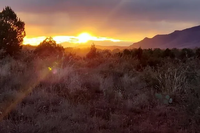 Sedona Wildlife Safari by Jeep at Sunrise - Image 1