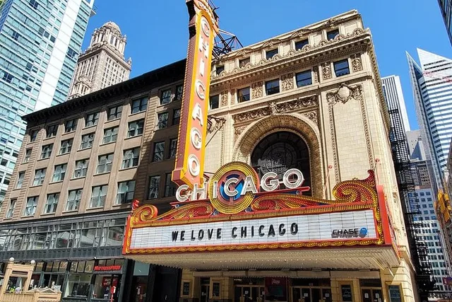 Chicago City Minibus Tour - Image 3