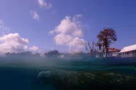 Crystal River Swim with Manatees Tour thumbnail 2