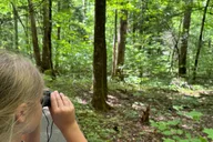 Gatlinburg Adventure Hike and Craft for Kids 3 hr thumbnail 3