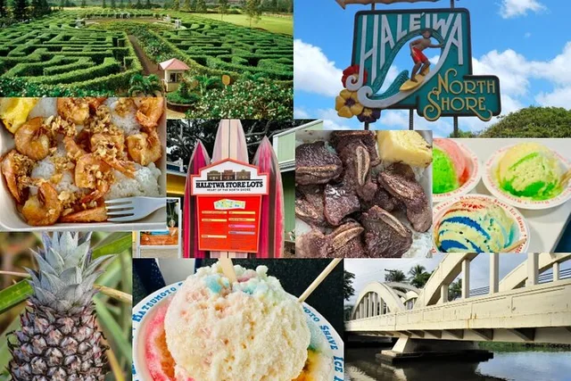 Oahu Shuttle to Dole Plantation & Haleiwa - Image 5