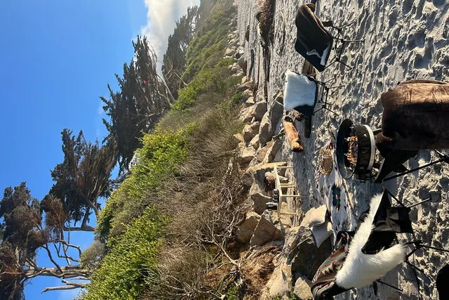 Carmel-by-the-Sea Beach Bonfire Experience - Image 3