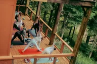 Asheville Yoga and Sound Healing Experience thumbnail 4