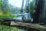New Orleans Plantation and Kayak Swamp Tour thumbnail 2