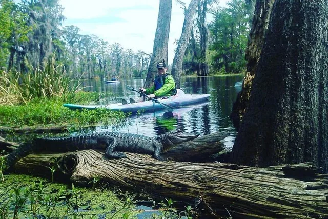 New Orleans Plantation and Kayak Swamp Tour - Image 2